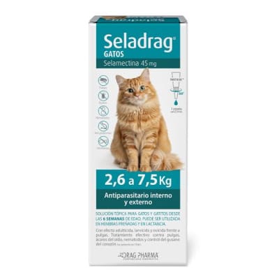 Seladrag Gatos