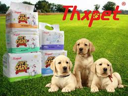 Soft care Thxpet Pañal1