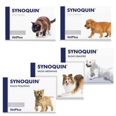 Synoquin