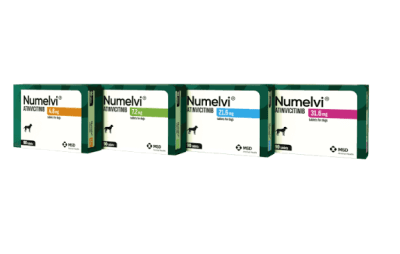 Numelvi