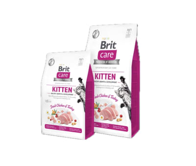 Brit care Kitten
