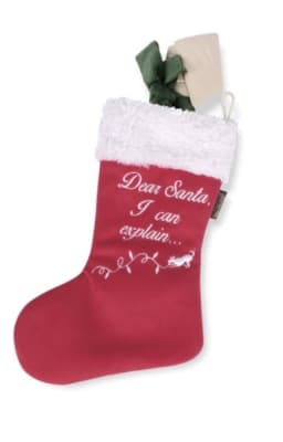 Navidad canina bota