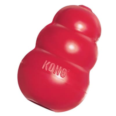 Kong XL1