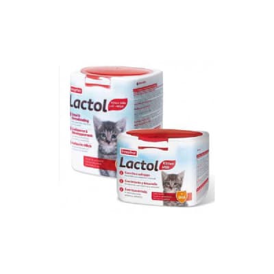 Lactol felino1