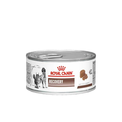 Royal Canin Recovery Lata 145g1