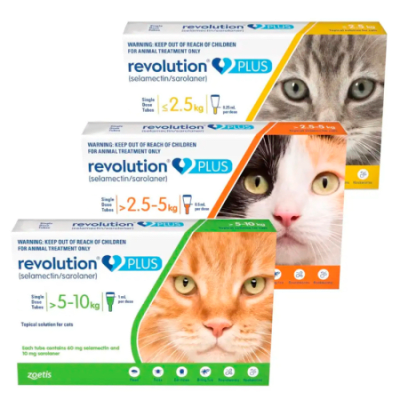 Revolution Plus felino