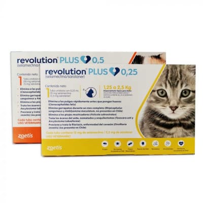 Revolution Plus felino