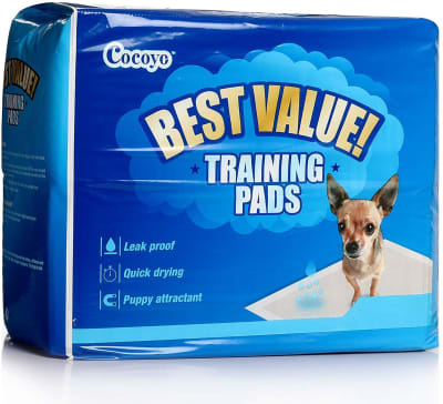 Cocoyo sabanillas 200 unidades