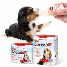 Lactol canino