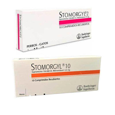 Stomorgyl1