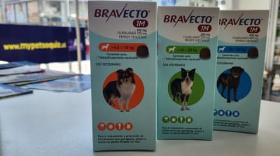 Bravecto 1 Mes