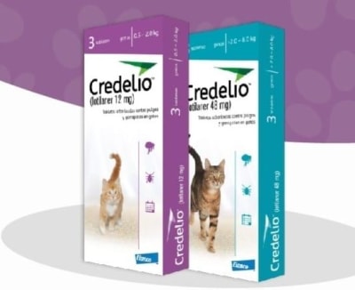 Credelio Gato