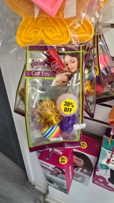 Pawise cat toy