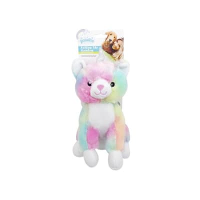 Pawise fallow the rainbow