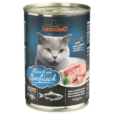 Leonardo 400 gr1
