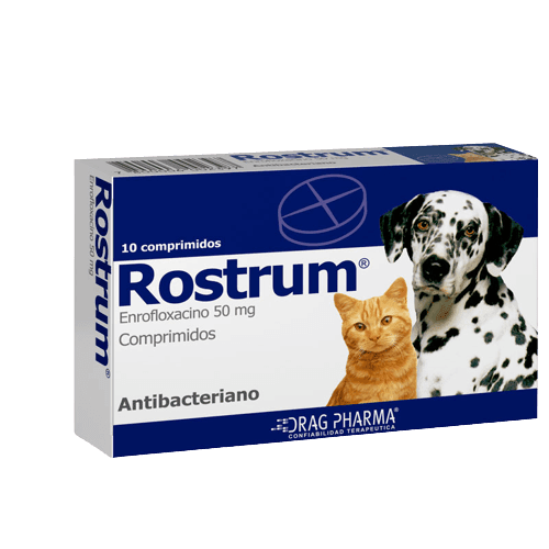 Rostrum 0