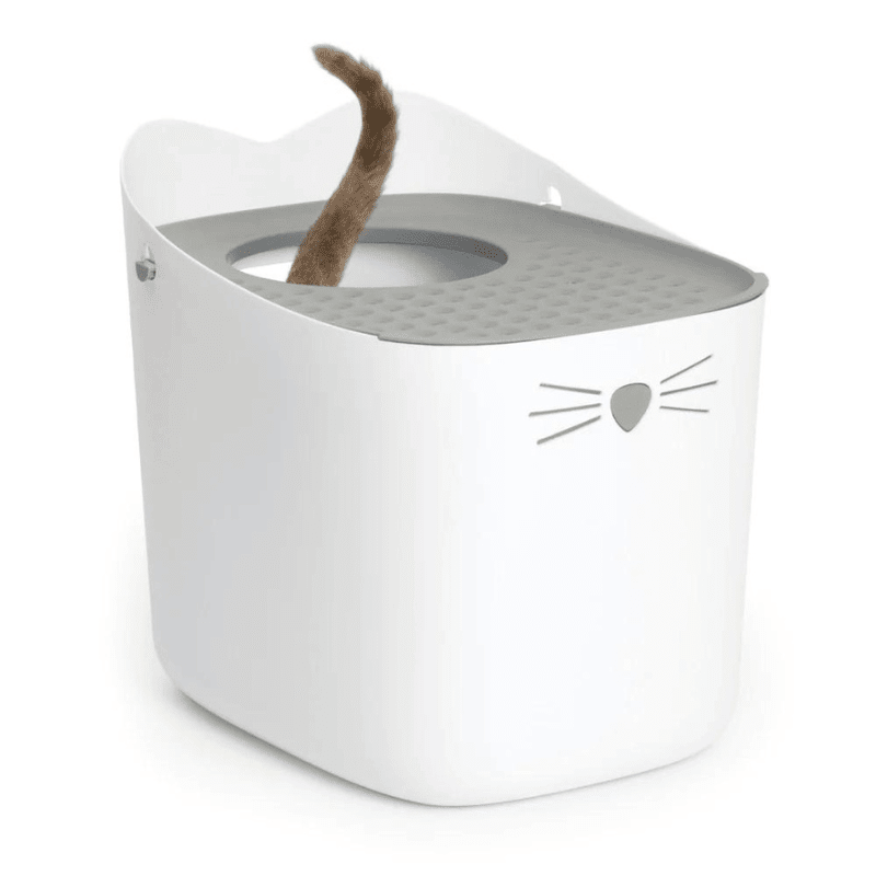 Catit pixi baño gatos 2