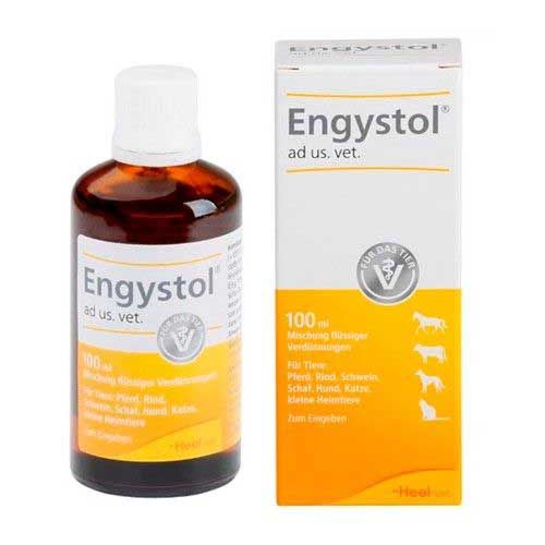 Engystol1