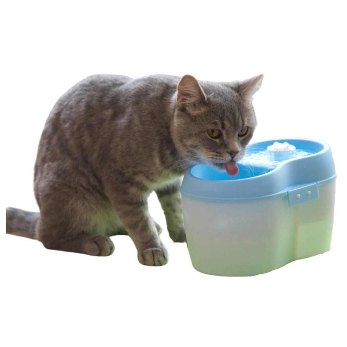 Cat h2o fuente 2 litros1