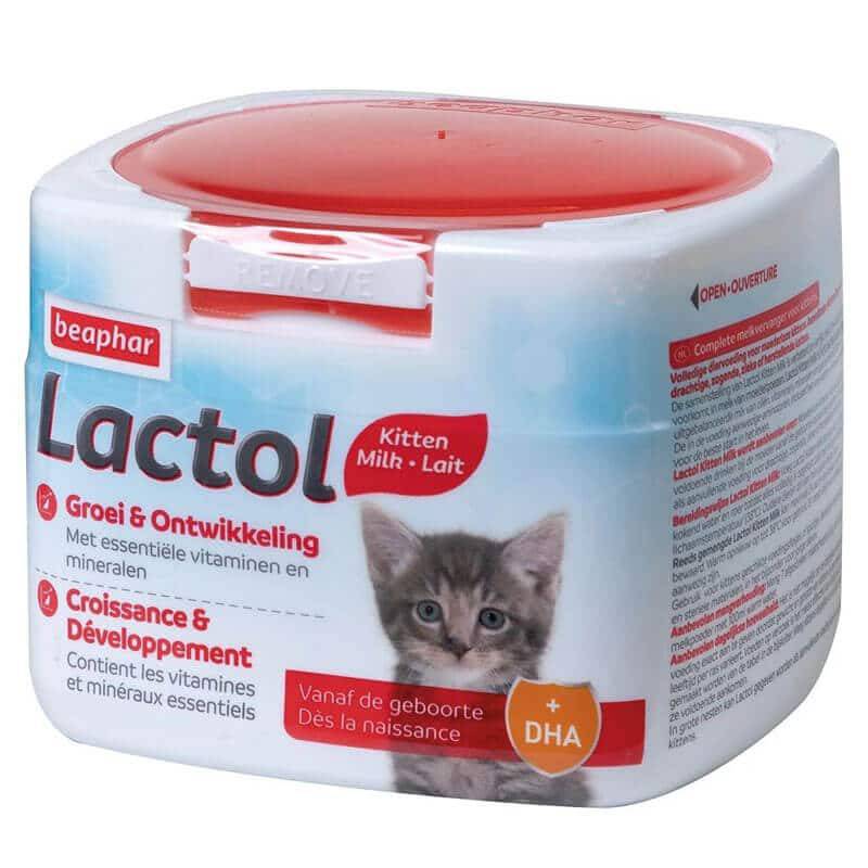 Lactol felino2