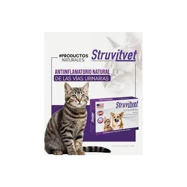 Struvitvet1