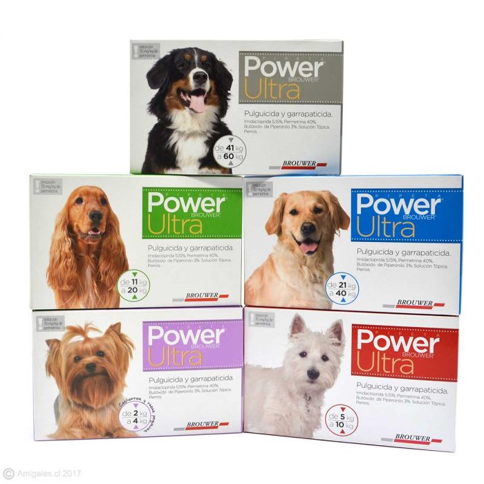 Power Ultra Perros 0