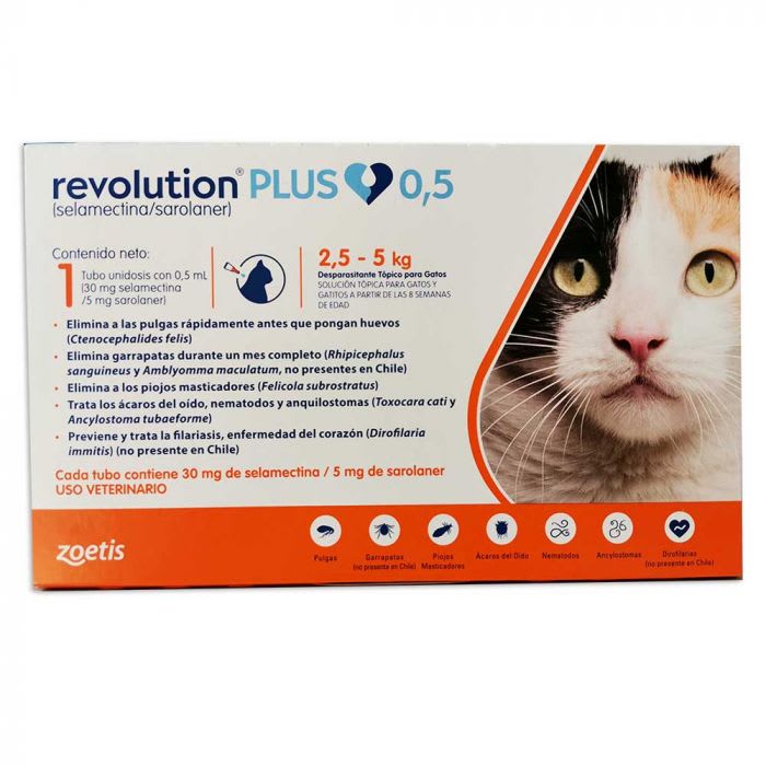 Revolution Plus felino1