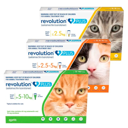 Revolution Plus felino 2