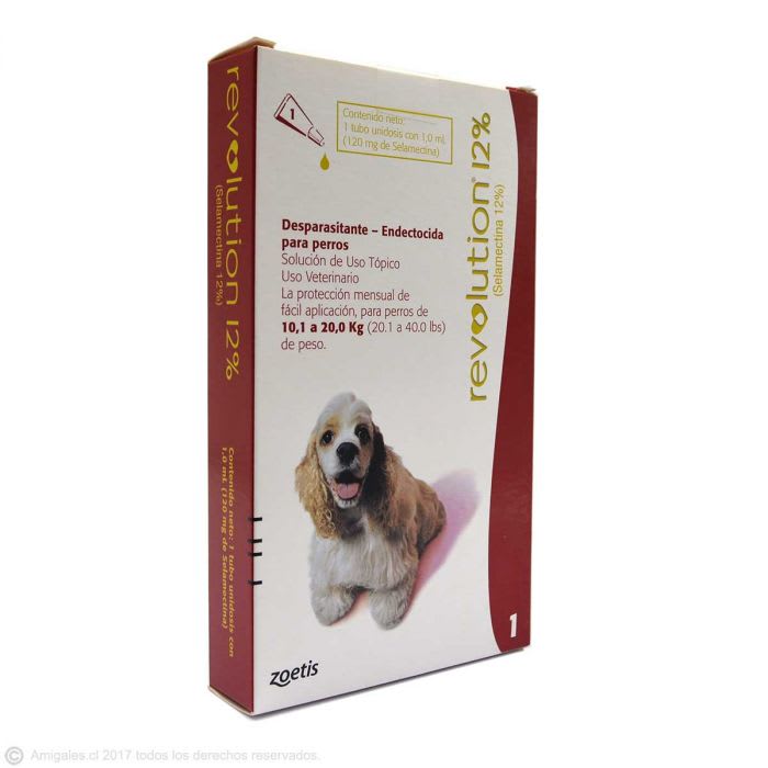 Revolution 12% canino4