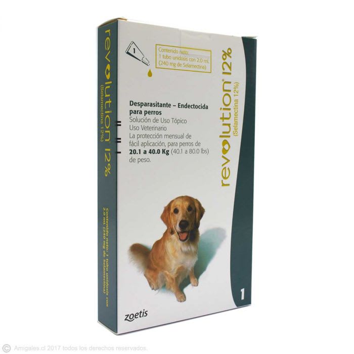 Revolution 12% canino3