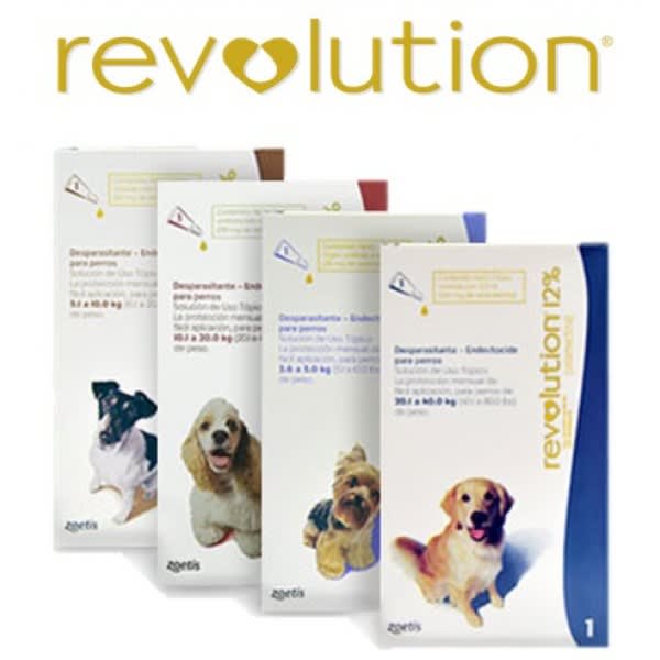 Revolution 12% canino 4