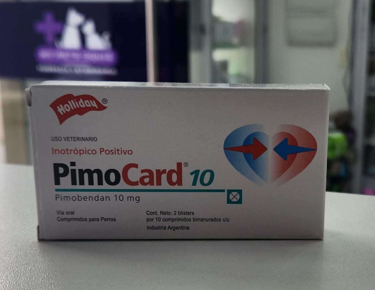 Holliday Pimocard2
