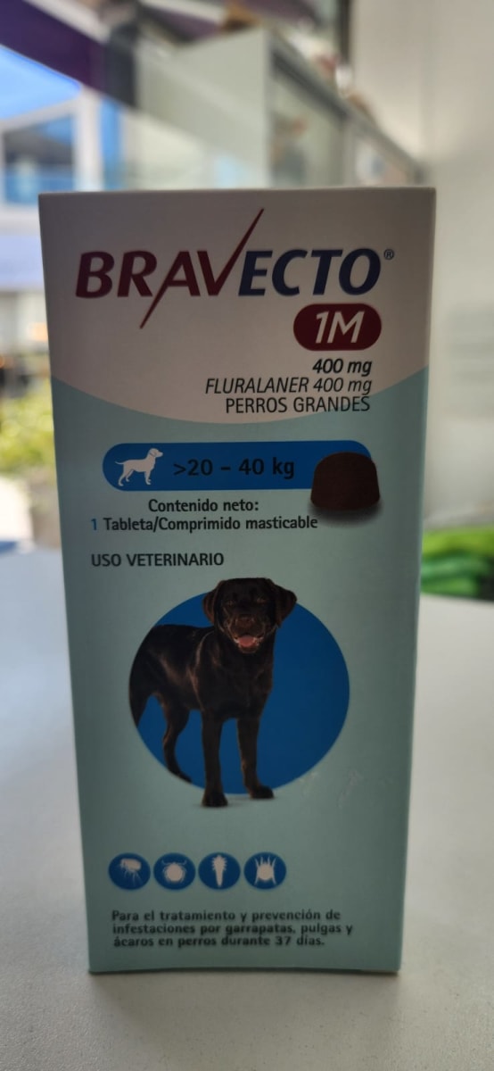 Bravecto 1 Mes4