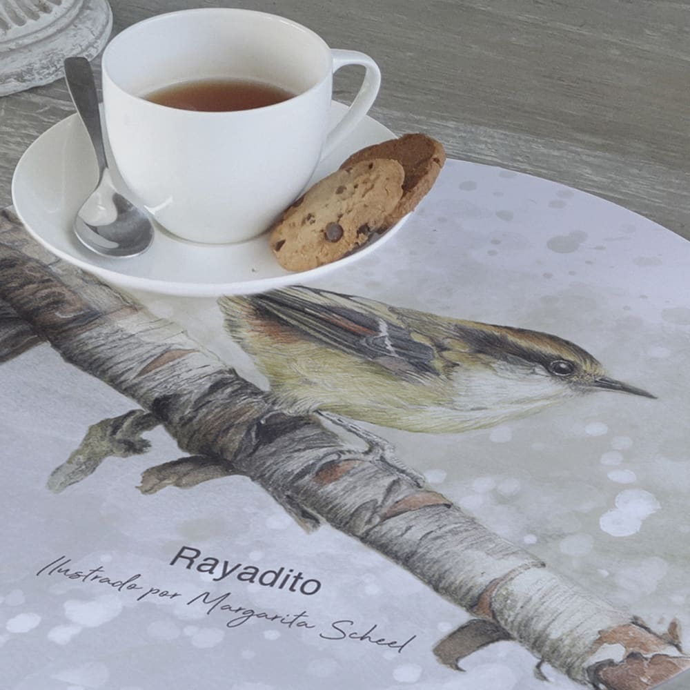 INDIVIDUALES MESA MS