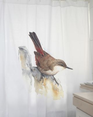 Cortina Estampado Chiricoca MS