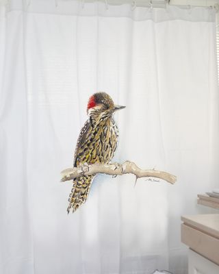 Cortina Estampado Carpinterito MS1