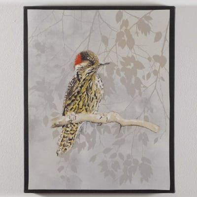 CUADRO CANVAS CARPINTERITO