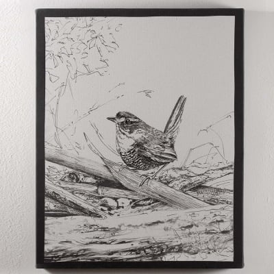 CUADRO CANVAS CHUCAO B/N