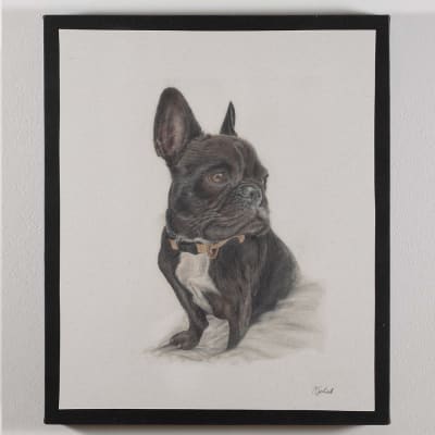 CUADRO CANVAS FRENCHIE NEGRO