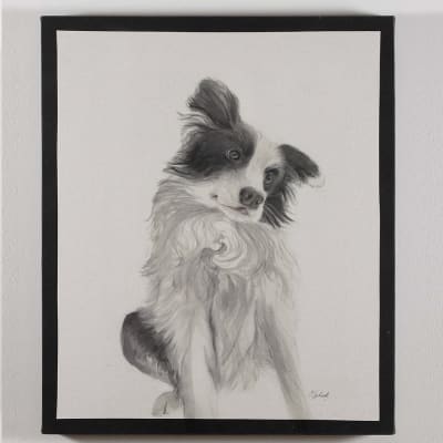 CUADRO CANVAS BORDER COLLIE
