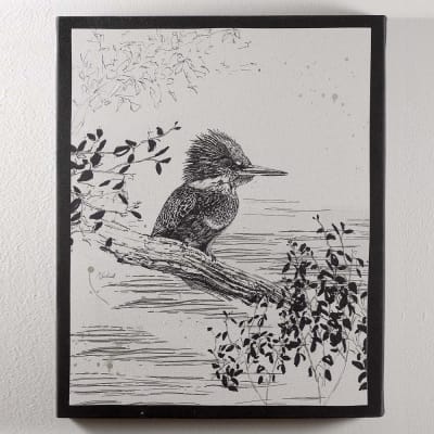 CUADRO CANVAS MARTÍN PESCADOR B/N