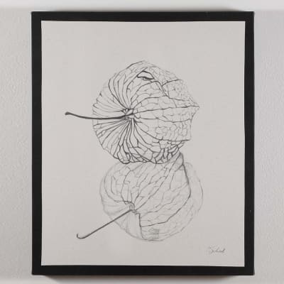 CUADRO CANVAS PHYSALIS