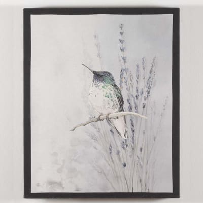 CUADRO CANVAS PICAFLOR JUAN FERNÁNDEZ