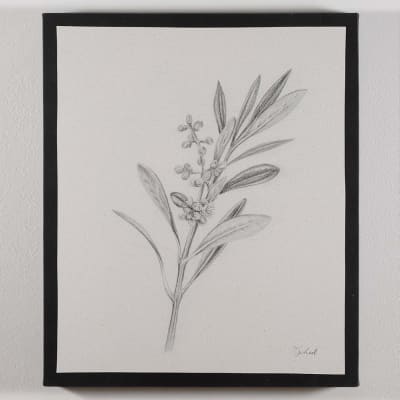 CUADRO CANVAS RAMITA DE OLIVO1