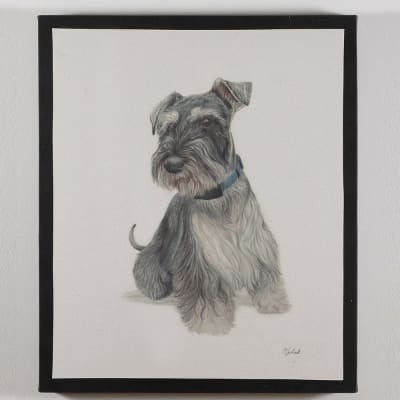 CUADRO CANVAS SCHNAUZER