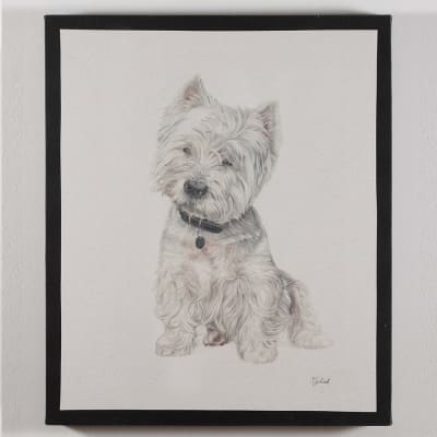 CUADRO CANVAS WESTY1