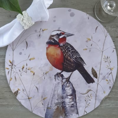 Individual Redondo Lloica