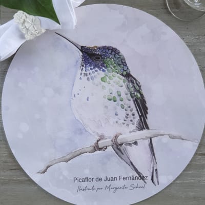 Individual Redondo Picaflor Juan Fernández