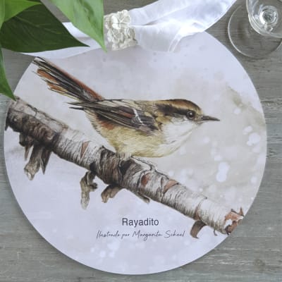 Individual Redondo Rayadito