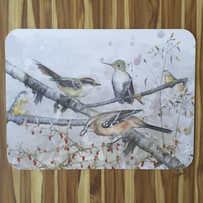 Individual Mix Rayadito1